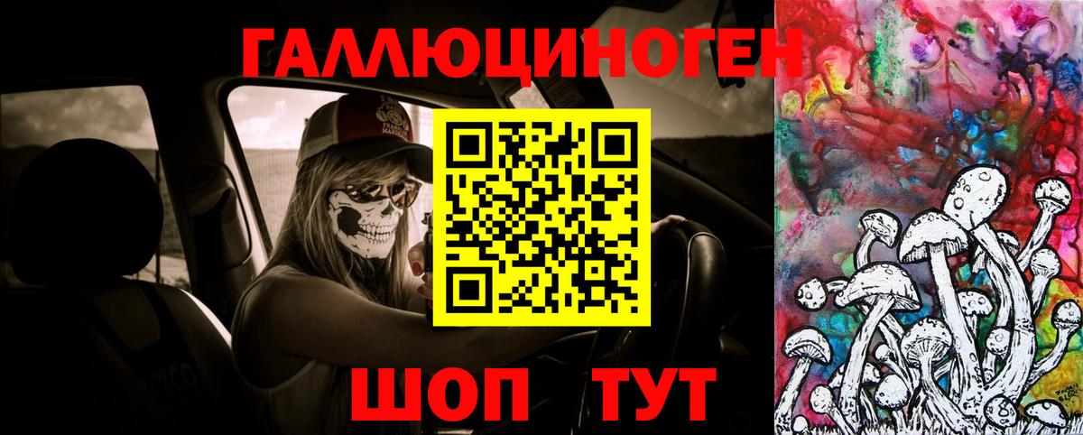 Псилоцибиновые грибы Psilocybine cubensis Щёлково