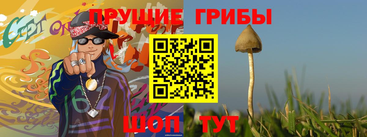 Псилоцибиновые грибы Psilocybine cubensis  Вход с VPN  Галлюциногенные грибы MAGIC MUSHROOMS  Щёлково 